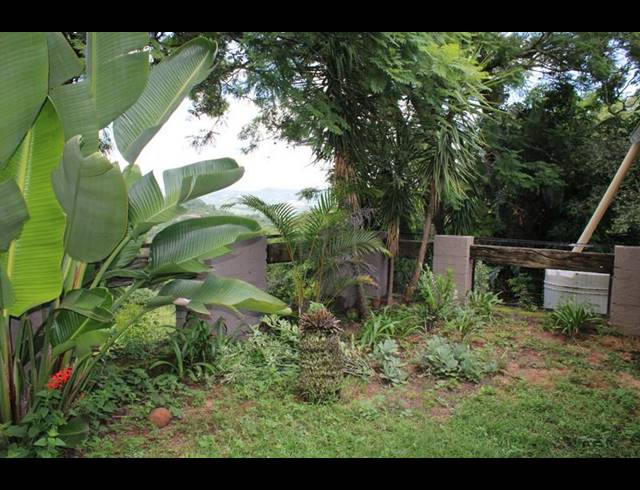 FARM FOR SALE IN NELSPRUIT RURAL